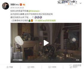 网红圈吃瓜 视频观看网站,揭秘热门视频网站背后的精彩瞬间