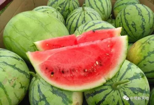 五一吃瓜网今日吃瓜黄玉瑶,黄玉瑶今日热点事件深度解析