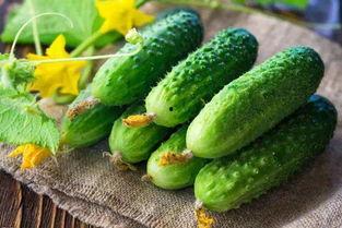 i吃瓜网,i吃瓜网带你领略明星幕后故事